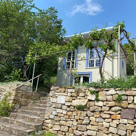 Weinbergshaus Mit Blick Auf'S Wasser Salzatal المظهر الخارجي الصورة