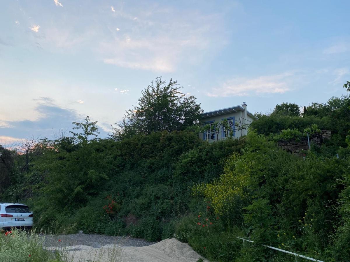 Weinbergshaus Mit Blick Auf'S Wasser Salzatal المظهر الخارجي الصورة